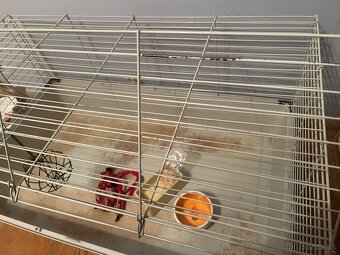 Klietka pre králika/ morča - 4