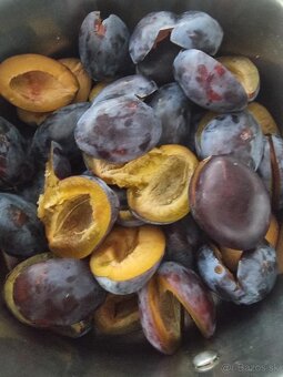 Predám slivky na kvas - 4