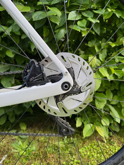 Trek Domane SL 6 (Carbon, Ultegra) - 4