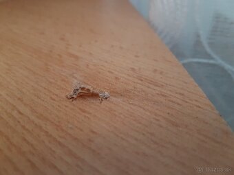 Darujem pracovný stôl - 4