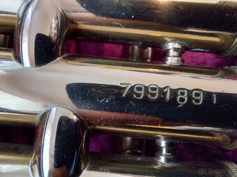 Vianočné upratovanie AMATI CORNET - 4