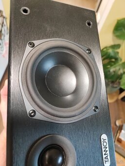 TANNOY center - 4