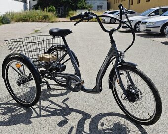 LIBERTY COMFY E-Trojkolka 24" 7spd Disk - 4