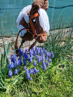 Hobby horse - 4