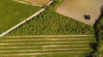 🍇 NA PREDAJ: Vinica v Modre – aj na SPLÁTKY 🍷 - 4