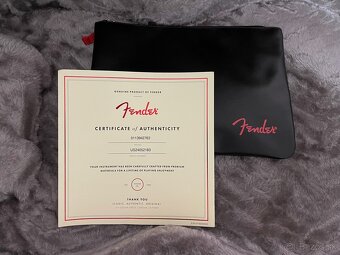 Fender American Professional II - 4