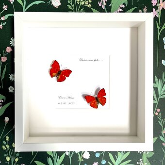 Svadobné motýle s venovaním - 4