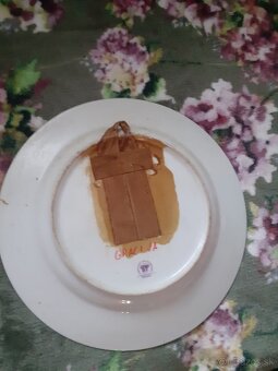 Predám taniere čo je na obrázku - 4