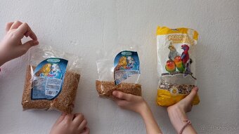 Predám andulky s klietkami a kompletným vybavením - 4