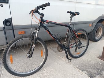 Alpina 19.5" - 4