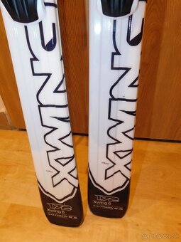 Salomon 172cm - 4