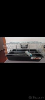 Zakrsly králik - 4