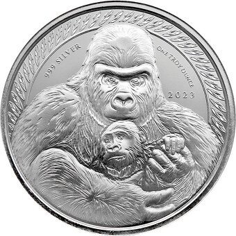 Stříbrná investiční mince Kongo Gorila 1 Oz 2015 až 2023 - 4