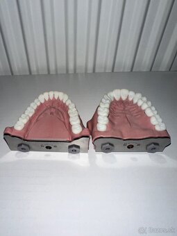 BioVoxel Typodont Čelusť - 4