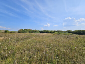 EXKLUZÍVNA PONUKA: PRIESTRANNÝ POZEMOK PRI SVLOVENSKEJ VSI - 4