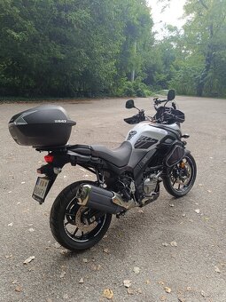Suzuki v strom - 4