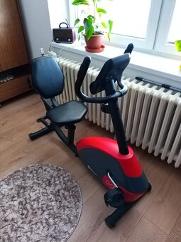 Recumbent Hop-sport - 4