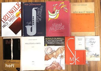 ZAHRANIČNÍ AUTORI-DICKENS, SVETOVÁ KLASIKA A iné... - 4