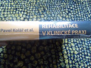 Rehabilitace v klinické praxi - Pavel Kolář - 4