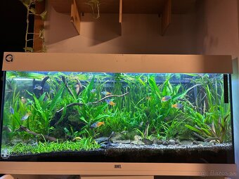 Aterínka Bosmanova - 4