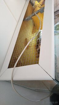 Terrarium/Aquarium - 4