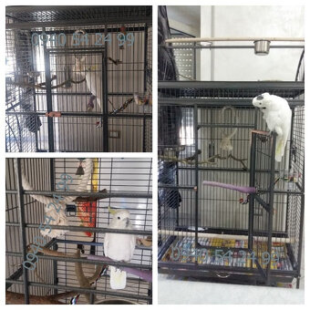 XXL voliéra pre zvieratá - klietka - 4