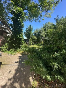 Veľkorysý pozemok 4543 m2 so starším RD - investícia - 4