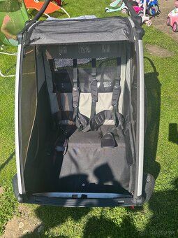 Thule Chariot Lite 2 Agave - 4