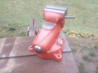 Zverák York 100 - možné zaslat - 4