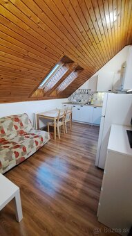 Jednoizbový byt, Lednické Rovne - 4