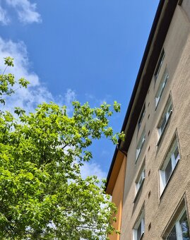 Krásny 2 izb., NIVY, Starý Ružinov, Centrál - 4