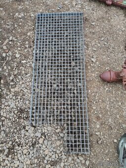 Lesenarske žaby,spojky - 4