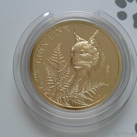 Zlatá minca Rys ostrovid - 4