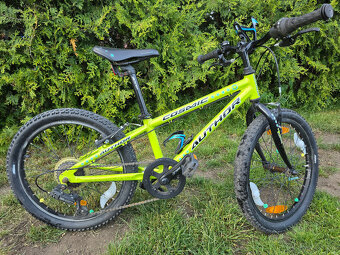 Detsky bicykel Author Cosmic 20 - 4