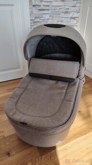 Kočík Roan bloom - 4