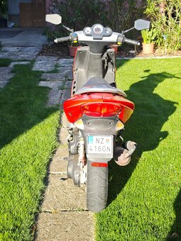 Peugeot speedfight 2 Rally victories  50ccm - 4