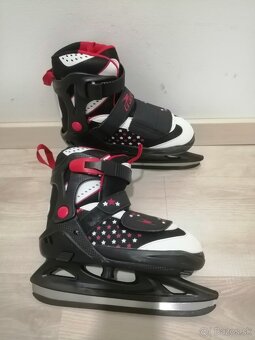 CRANE hviezdičkové - 4