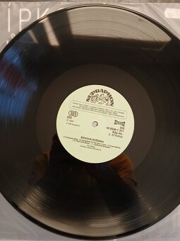 Rebels – Šípková Růženka - 4