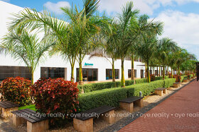 Na predaj luxusná 4-izbová vila v rezorte Meliá Dunas Beach - 4