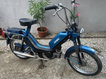 Babetta - 4