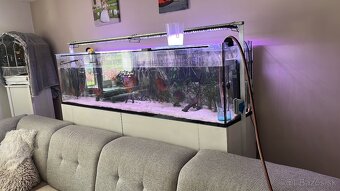 Predám Akvarium 360l +kovova skrinka - 4