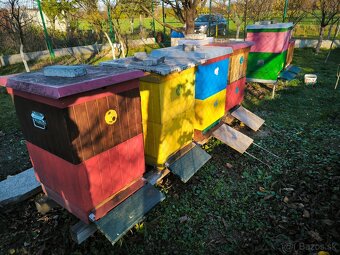 Včelstvo, včely, kompletné príslušenstvo včelára - 4