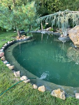 Jazierkova folia - 4