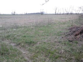 Pozemok, Vozokany, okres Galanta - 4