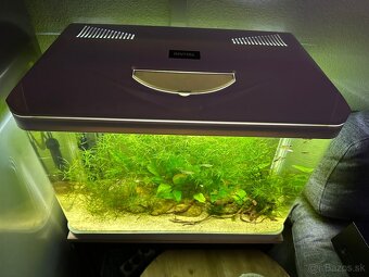Akvarium - 4
