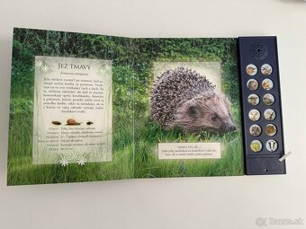 Zvukové knihy Vtáky voľnej prírody - 4