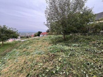 Čistenie pozemkov - 4