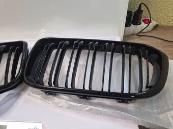 Predna maska-Ladvinky - 4