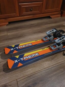 Predam ski-alp FISCHER,160 cm,viaz.Diamir S - - 4