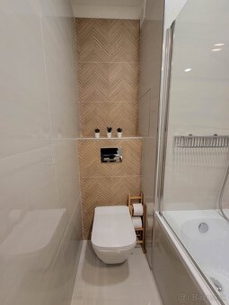 Prenájom 1 - izb byt Kanianka prerobený - 4